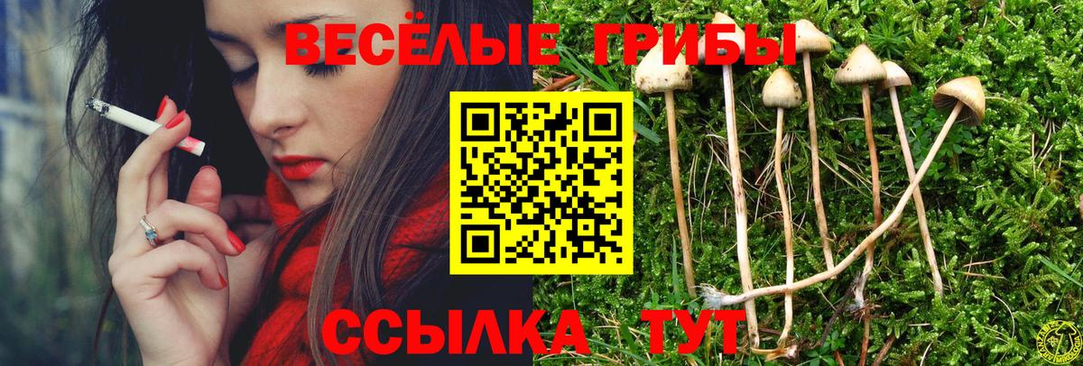 Галлюциногенные грибы прущие грибы  Вход с VPN  Великий Новгород 