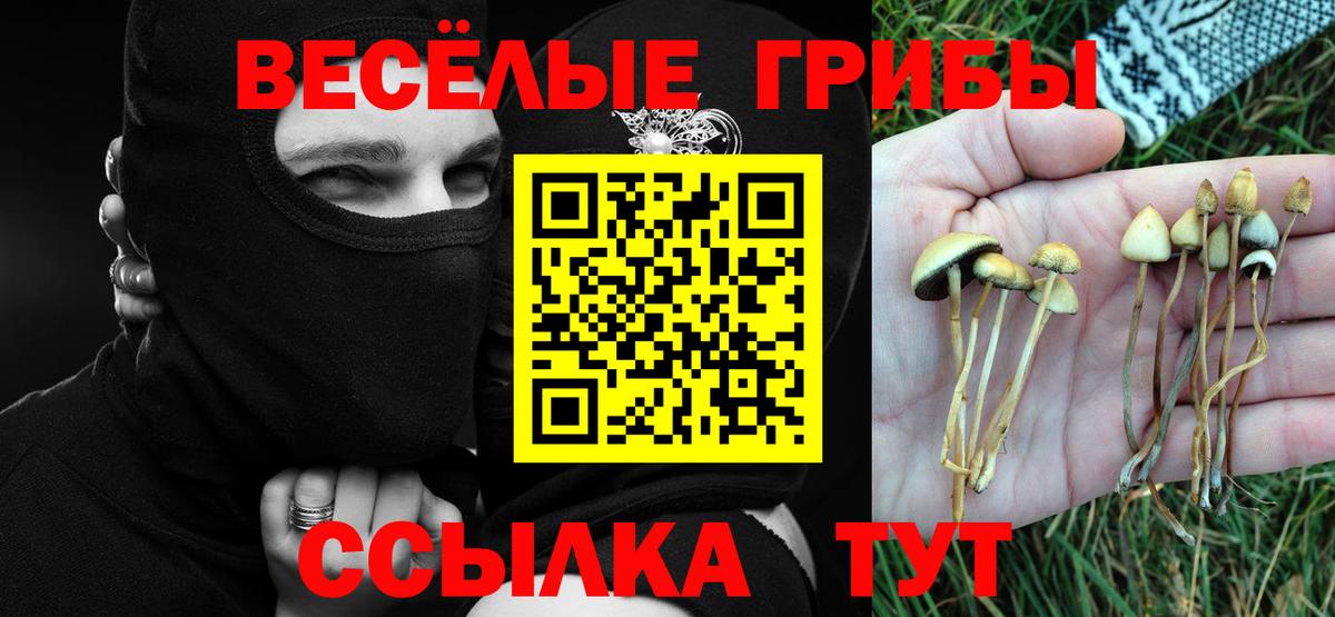 Галлюциногенные грибы мицелий Великий Новгород